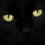 Foto del perfil de qwerty